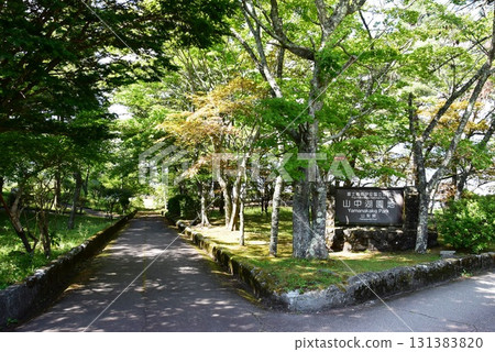 山梨縣:山中湖公園的告示牌、散步道、濃蔭蔽日 山梨縣:山中湖公園的告示牌、散步道、濃蔭蔽日 131383820
