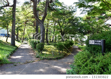 山梨縣山中湖綠球廣場:路標、步道和茂密的綠地 山梨縣山中湖綠球廣場:路標、步道和茂密的綠地 131383822