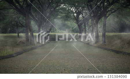 View of the street surrounded by trees with a dramatic smoke or fog effect. The scene is scary and mysterious. Mockup. Copy Space. Wallpaper or Halloween background View of the street surrounded by trees with a dramatic smoke or fog effect. The scene is scary and mysterious. Mockup. Copy Space. Wallpaper or Halloween background 131384090
