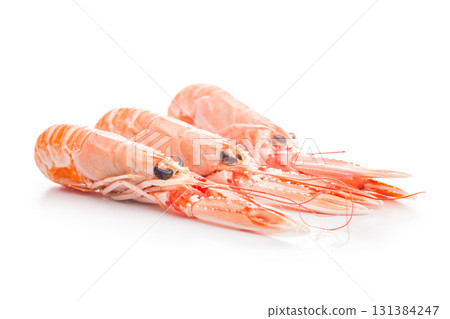Scampi langoustine isolated on white background. 131384247