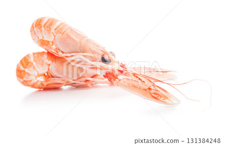 Scampi langoustine isolated on white background. 131384248
