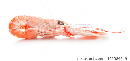 Scampi langoustine isolated on white background. 131384249