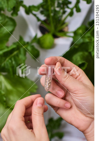 Holding a Seed Vial in a Nurturing Indoor Garden Filled with Vibrant Life and Growth Holding a Seed Vial in a Nurturing Indoor Garden Filled with Vibrant Life and Growth 131384265