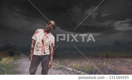 Scary male zombie with a wound and bloody walking on the gravel path. The scene is scary and creepy. Dramatic sky. Concept of Spooky Halloween Scary male zombie with a wound and bloody walking on the gravel path. The scene is scary and creepy. Dramatic sky. Concept of Spooky Halloween 131384505