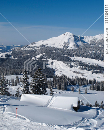 Ski tracks in the Toggenburg Valley, Switzerland. 131384535