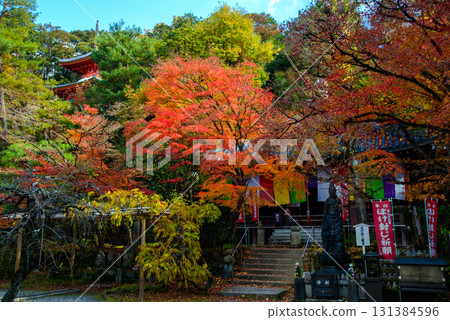 Imakumano Kannonji Temple in autumn, surrounded by autumn leaves 131384596