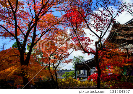 Imakumano Kannonji Temple in autumn, surrounded by autumn leaves Imakumano Kannonji Temple in autumn, surrounded by autumn leaves 131384597