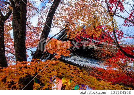秋天的今熊野觀音寺,被紅葉包圍 秋天的今熊野觀音寺,被紅葉包圍 131384598