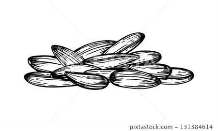 Raw sunflower seeds in shells monochrome vector line ink illustration. Healthy snack pile. Sun flower unpeeled grains heap for packaging, bird food label, culinary blog, rustic design Raw sunflower seeds in shells monochrome vector line ink illustration. Healthy snack pile. Sun flower unpeeled grains heap for packaging, bird food label, culinary blog, rustic design 131384614