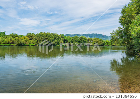 大阪府枚方市淀川的秋景 131384650