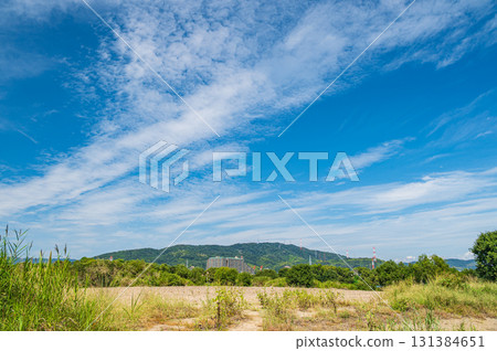 Autumn scenery of the Yodo River, Hirakata City, Osaka Prefecture 131384651