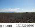 Field in Hokkaido 131384690
