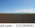 Field in Hokkaido 131384691