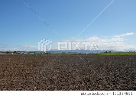 Field in Hokkaido Field in Hokkaido 131384691