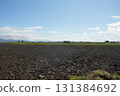 Field in Hokkaido 131384692