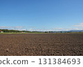 Field in Hokkaido 131384693