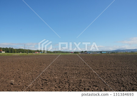 北海道的田野 131384693