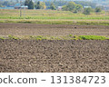 Field in Hokkaido 131384723