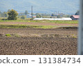Field in Hokkaido 131384734