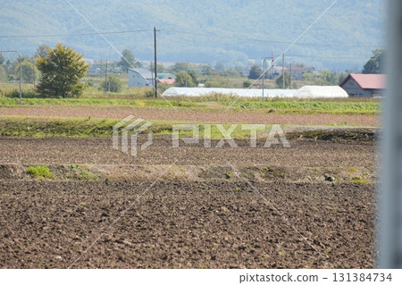 Field in Hokkaido Field in Hokkaido 131384734
