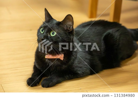 黑貓 131384980