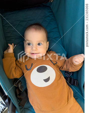 Baby in Stroller with Bear-Themed Outfit Baby in Stroller with Bear-Themed Outfit 131385008