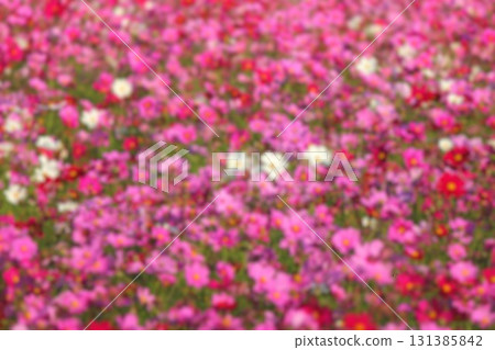 晴朗的天氣 晴朗的天氣 131385842