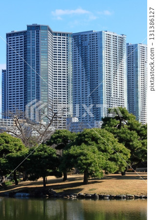 Japanese garden and skyscrapers: Shiodome buildings seen from Hama-rikyu Gardens Japanese garden and skyscrapers: Shiodome buildings seen from Hama-rikyu Gardens 131386127
