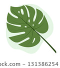 Monstera leaf on white background. Green plant vector. Element for design. 131386254