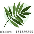 Palm leaf on white background. Green plant vector. Element for design. 131386255