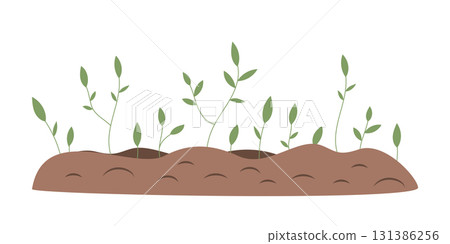 Young shoots are breaking through the soil. Spring green sprouts. Ecology, gardening and agriculture themes. Vector design element on a white background 131386256