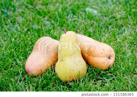 Three pears on a green grass background Three pears on a green grass background 131386365