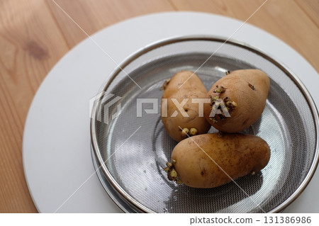 Bud potatoes Bud potatoes 131386986