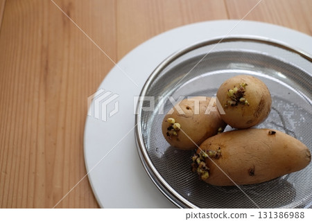 Bud potatoes 131386988