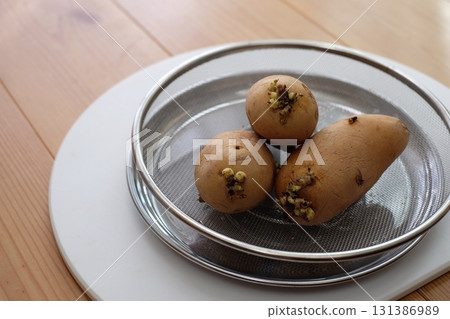 Bud potatoes Bud potatoes 131386989