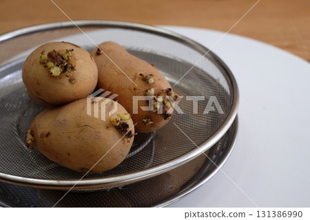 Bud potatoes 131386990