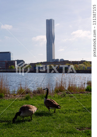 The tallest building in Scandinavia Karlatornet skycraper in Lindholmen, Gothenburg, Sweden, sunny day The tallest building in Scandinavia Karlatornet skycraper in Lindholmen, Gothenburg, Sweden, sunny day 131387155