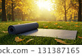 Yoga mat on grass in the sunshine in an autumn park 131387165