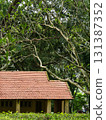 old house in the garden 131387352