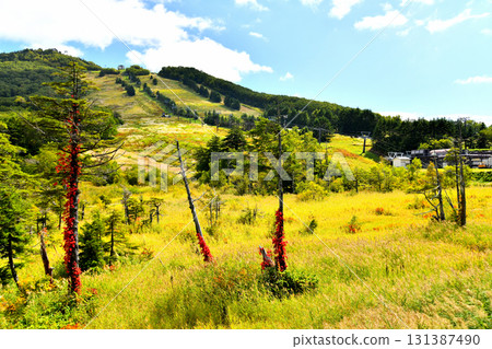 Takamagahara Mammoth Ski Resort in early autumn (Yamanouchi Town, Nagano Prefecture) [September 2025] 131387490