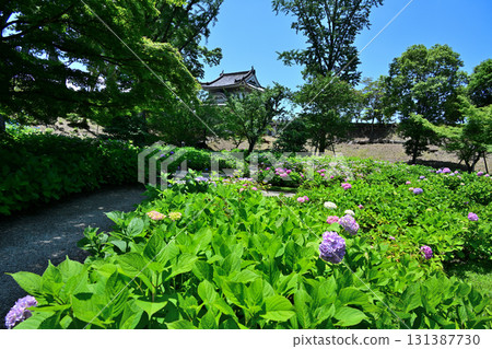 Kyoto "Nijo Castle" gate and stone wall 131387730