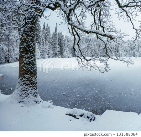 Beautiful winter frozen lake view Beautiful winter frozen lake view 131388064