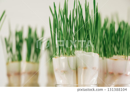 Bunch of objects. Green plants in the glass, laboratory Bunch of objects. Green plants in the glass, laboratory 131388104