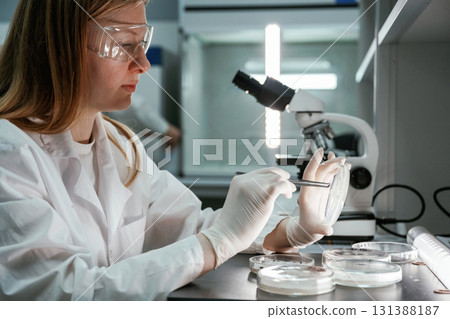 With microscope. Woman is working with Sclerotinia that is in the rounded containers in the laboratory With microscope. Woman is working with Sclerotinia that is in the rounded containers in the laboratory 131388187