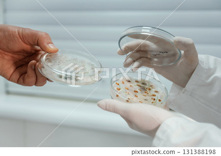Side view. Male and female scientists are holding containers with trichoderma and sclerotinia, lab research Side view. Male and female scientists are holding containers with trichoderma and sclerotinia, lab research 131388198