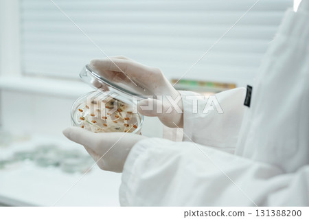 Lab worker is holding container with trichoderma and sclerotinia Lab worker is holding container with trichoderma and sclerotinia 131388200