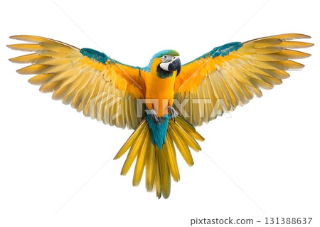 A bright blue and yellow macaw spreads its wings wide in flight, isolated on a white background. 131388637