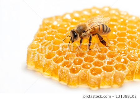 A bee rests on glistening honeycomb filled with sweet honey. 131389102