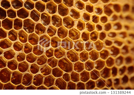 Golden honeycomb cells hold sweet liquid. 131389244