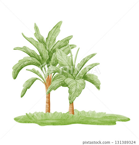 Palm trees growing on the grass lawn watercolor illustration illustration in simple childish style. Tropical nature clip art for African safari decor. Exotic landscape for summer prints 131389324